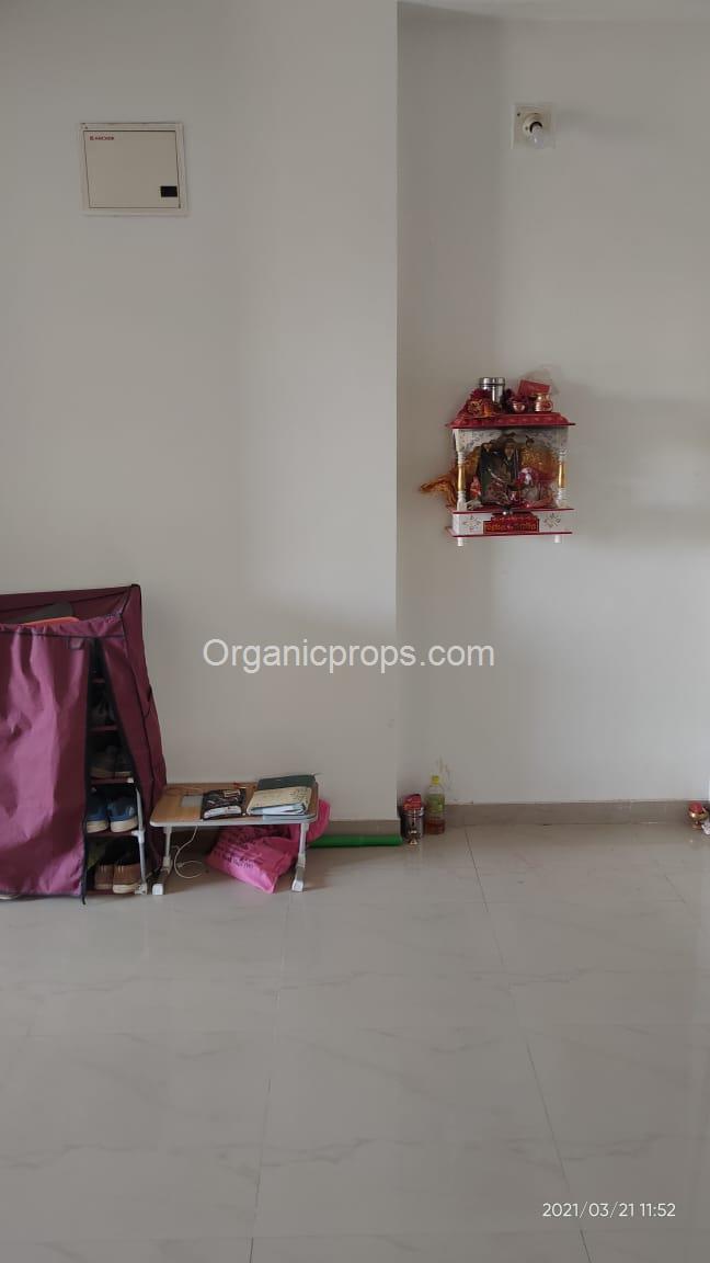 WhatsApp Image 2023-10-26 at 120231026172141203.jpeg